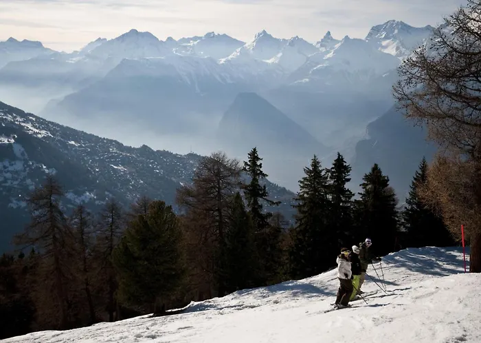 Porkka Cosy & Quiet 8 Pers Vex